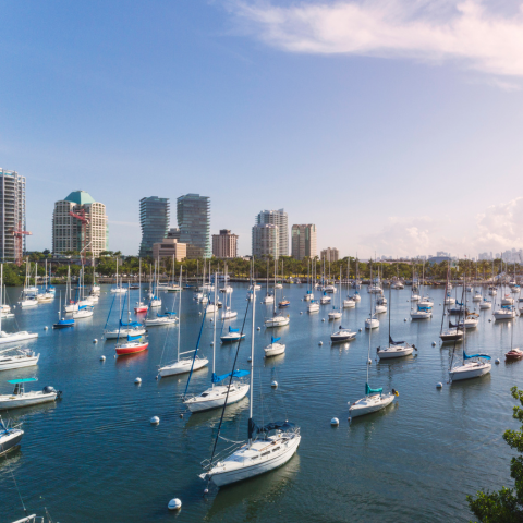 Miami’s Luxury Real Estate Market in Coconut Grove