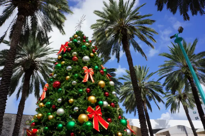 Explore Miami December events while securing your dream home with expert mortgage services